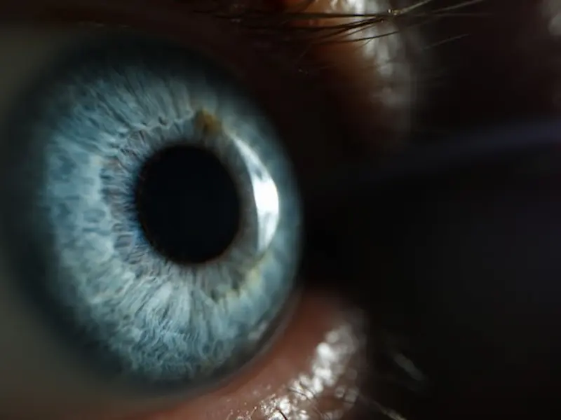 L’addiction n’est pas une question de drogue. C’est une affaire cérébrale.